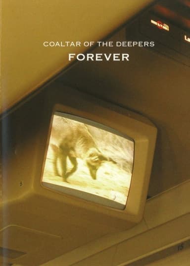 Coaltar Of The Deepers - Forever poster