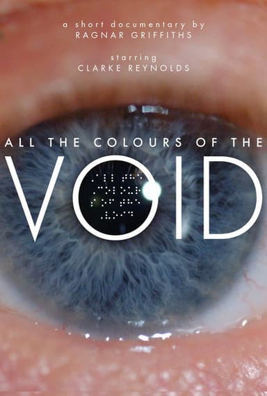 All the Colours of the Void poster