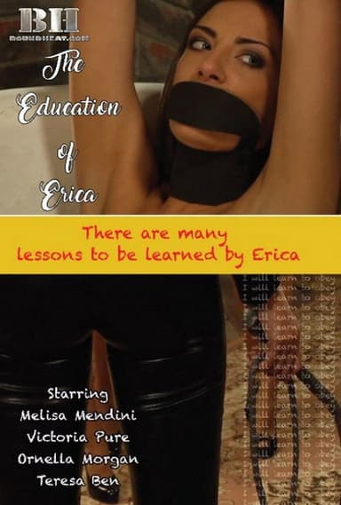 The Education Of Erica poster