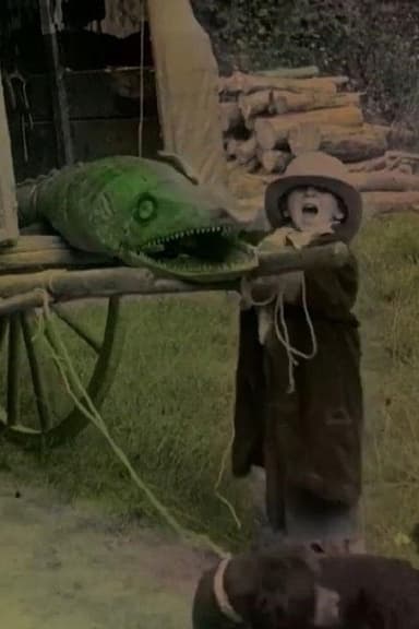 Bout-de-Zan and the Crocodile poster