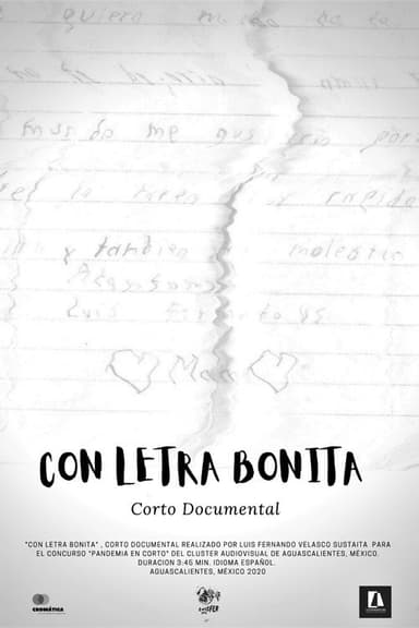 Con letra bonita poster