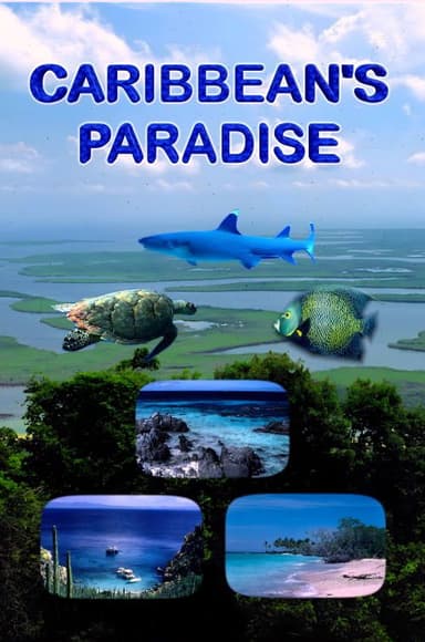 Caribbean's Paradise poster