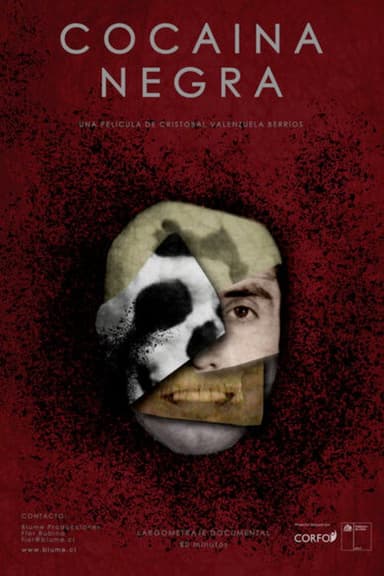 Black Cocaine poster