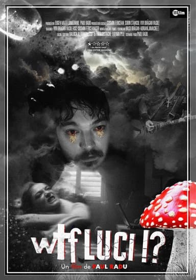 WTF LUCI! poster