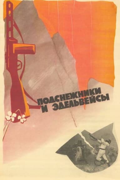 Snowdrops and Edelweiss poster