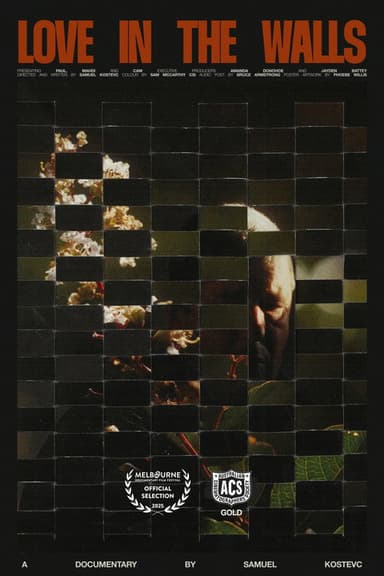 Love in the Walls poster