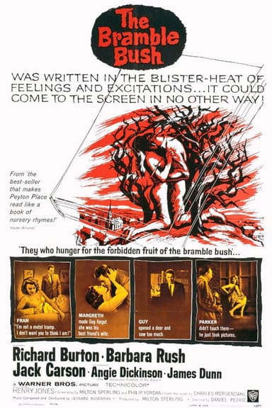 The Bramble Bush poster
