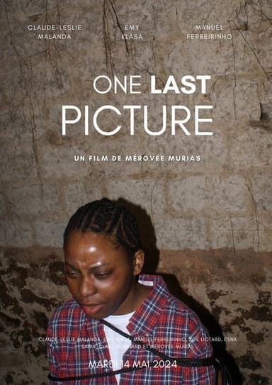 One Last Picture poster