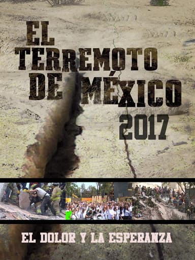 El dolor y la esperanza poster