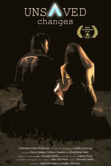 Unsaved Changes poster
