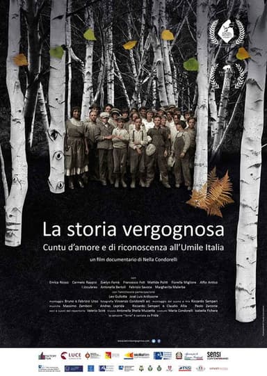 La storia vergognosa poster