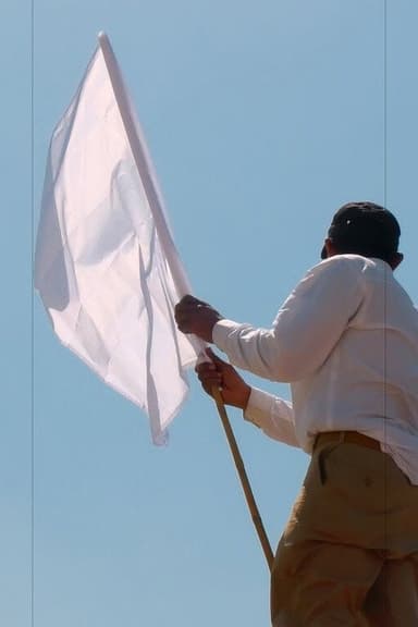 Brown Bodies in an Open Landscape are Often Migrating poster