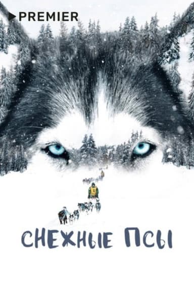 Snow Dogs poster
