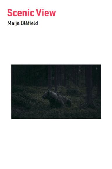 Scenic View poster