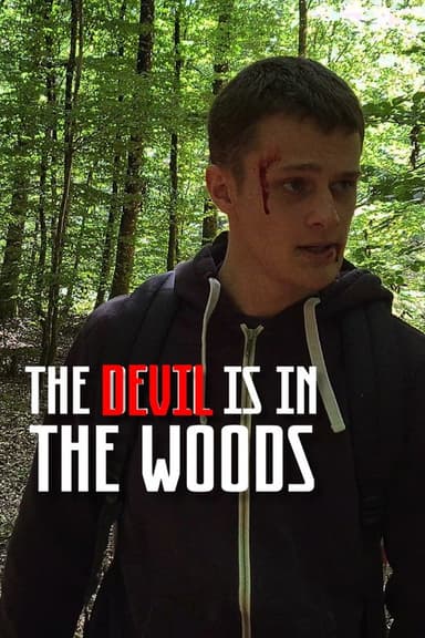 The Devil is in the Woods poster