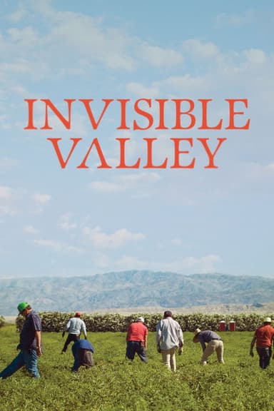 Invisible Valley poster