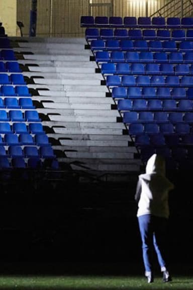 Dans la solitude des champs de coton poster