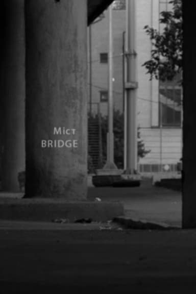 Bridge poster