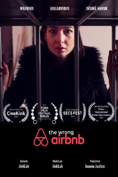 The Wrong Airbnb poster