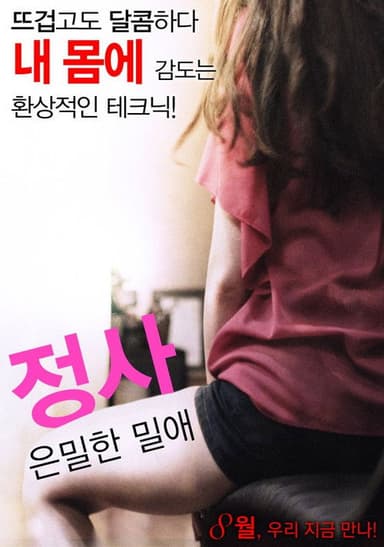 Love Affair: A Secret Affair poster