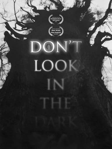 Don't Look in the Dark poster
