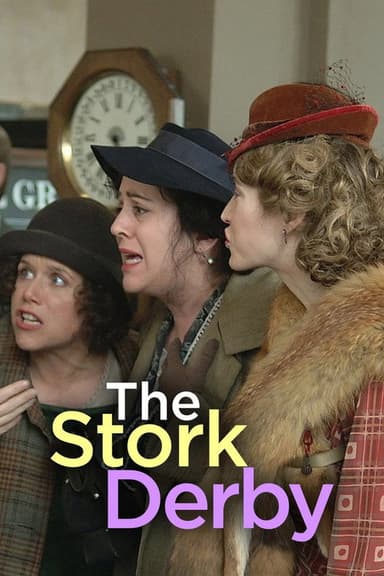 The Stork Derby poster