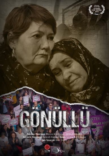 The Volunteer poster