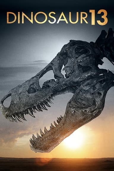 Dinosaur 13 poster