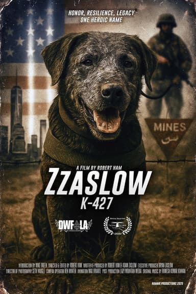 Zzaslow K-427 poster