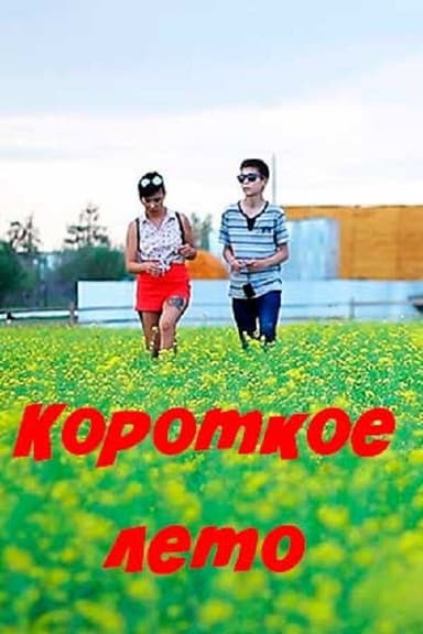 Short Summer poster