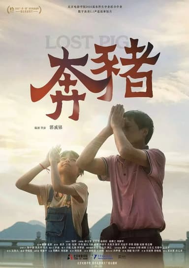 Lost Pig poster