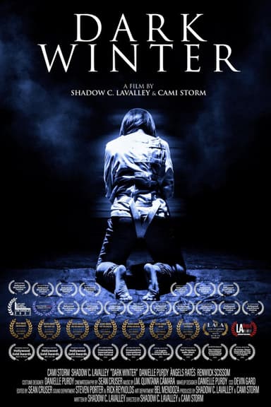 Dark Winter poster