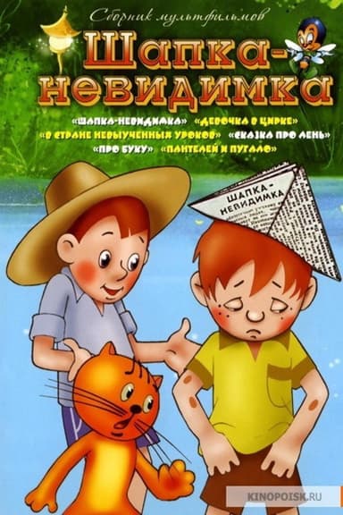 Шапка-невидимка poster