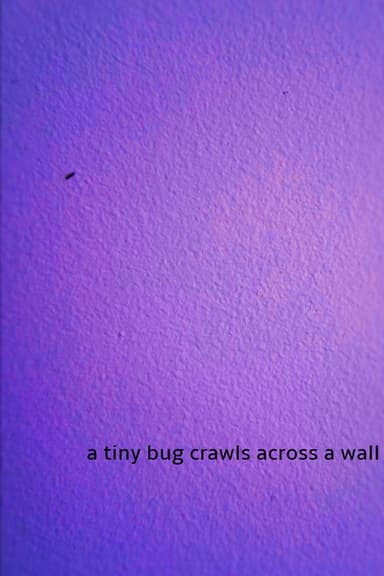 a tiny bug crawls across a wall poster