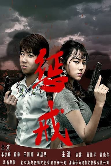 惩戒 poster