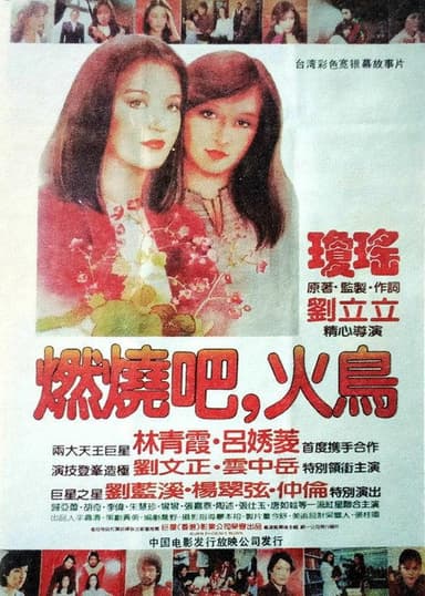 Burn Phoenix Burn poster