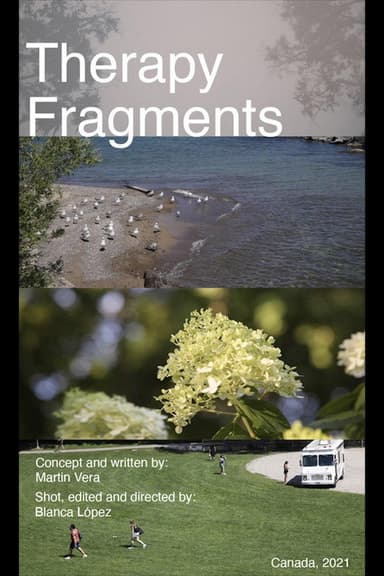 Therapy Fragments poster