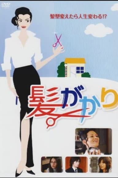 Hair Brush poster