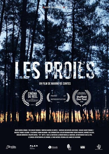 The Game poster