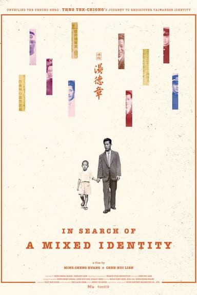 In Search of a Mixed Identity poster
