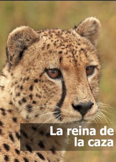 La reina de la caza poster