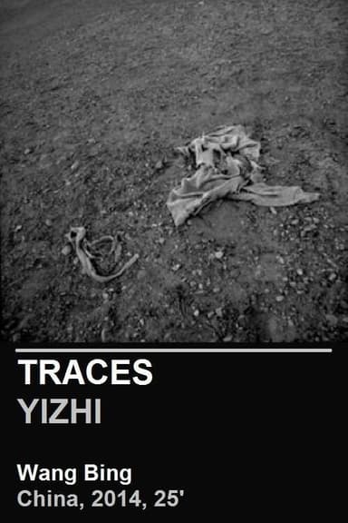 Traces poster
