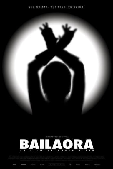 The Flamenco Dancer poster