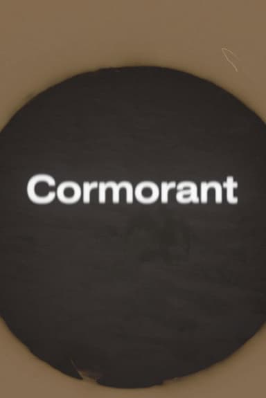 Cormorant poster