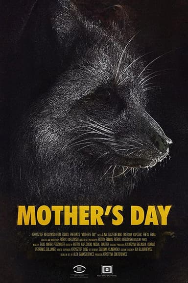 Mother's Day poster