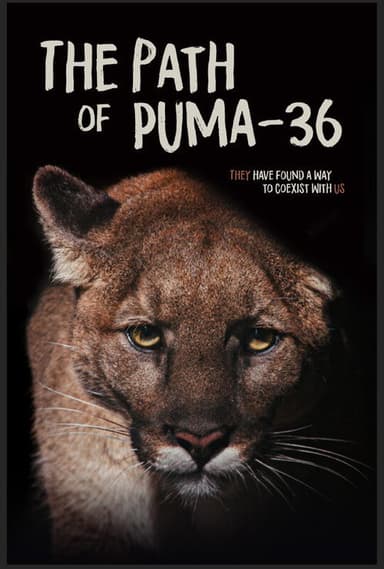 The Path of Puma-36 poster