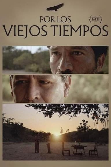 For Old Times' Sake poster