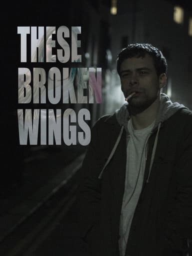 These Broken Wings poster