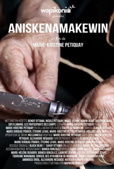 Aniskenamakewin poster