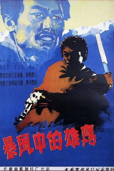 暴风中的雄鹰 poster